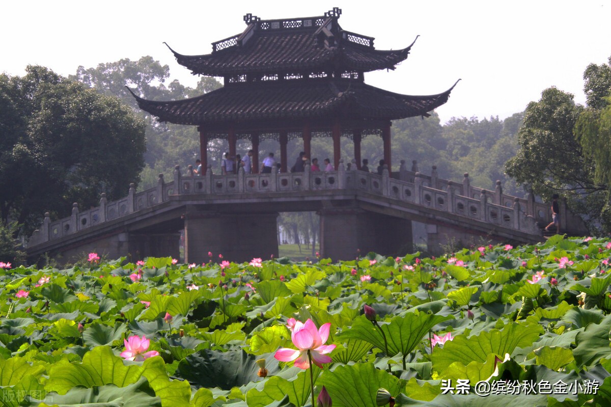 西湖十景是指哪些景点？西湖之美，需走遍十景才能完整领略