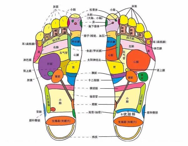 每天睡前10分钟，这样按摩足部，相当于在给全身吃补药