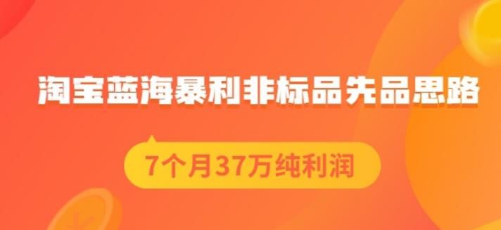 盗坤淘宝蓝海暴利非标品选品思路，7个月37万纯利润，压箱干货分享！【付费文章】