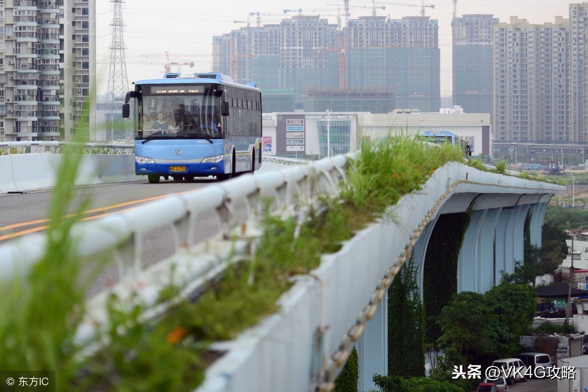 我国哪些城市拥有BRT（快速公交系统）？