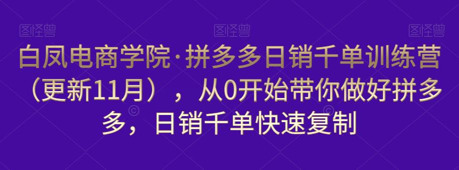 图片[1]-拼多多日销千单训练营（更新11月），从0开始带你做好拼多多，日销千单快速复制-阿灿说钱