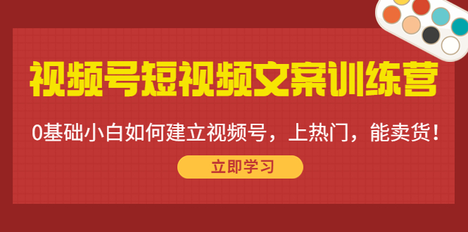 图片[1]-视频号短视频文案训练营：0基础小白如何建立视频号，上热门，能卖货！-阿灿说钱