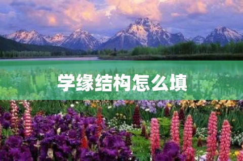 学缘结构怎么填