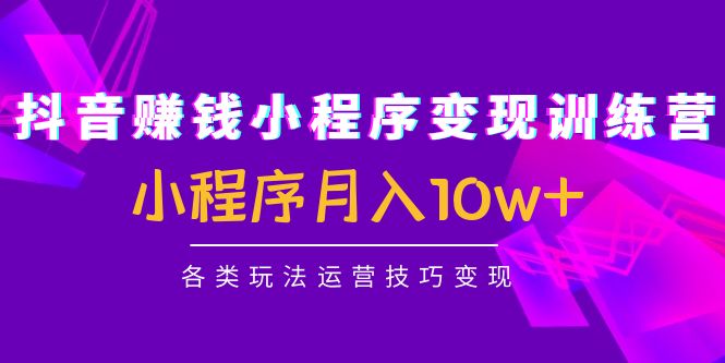 抖音赚钱小程序变现训练营：小程序月入10w 各类玩法运营技巧变现
