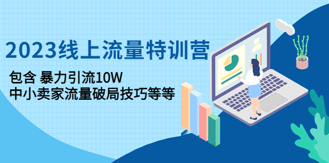 2023线上流量特训营：包含暴力引流10W 中小卖家流量破局技巧等等