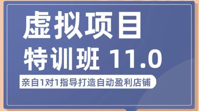 陆明明·虚拟项目特训班（10.0 11.0），0成本获取虚拟素材，0基础打造自动盈利店铺