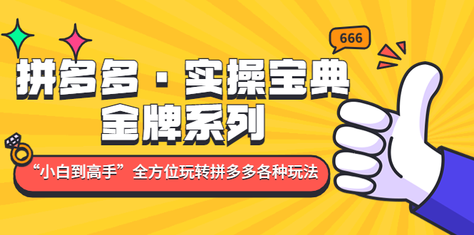 拼多多·实操宝典：金牌系列“小白到高手”带你全方位玩转拼多多各种玩法