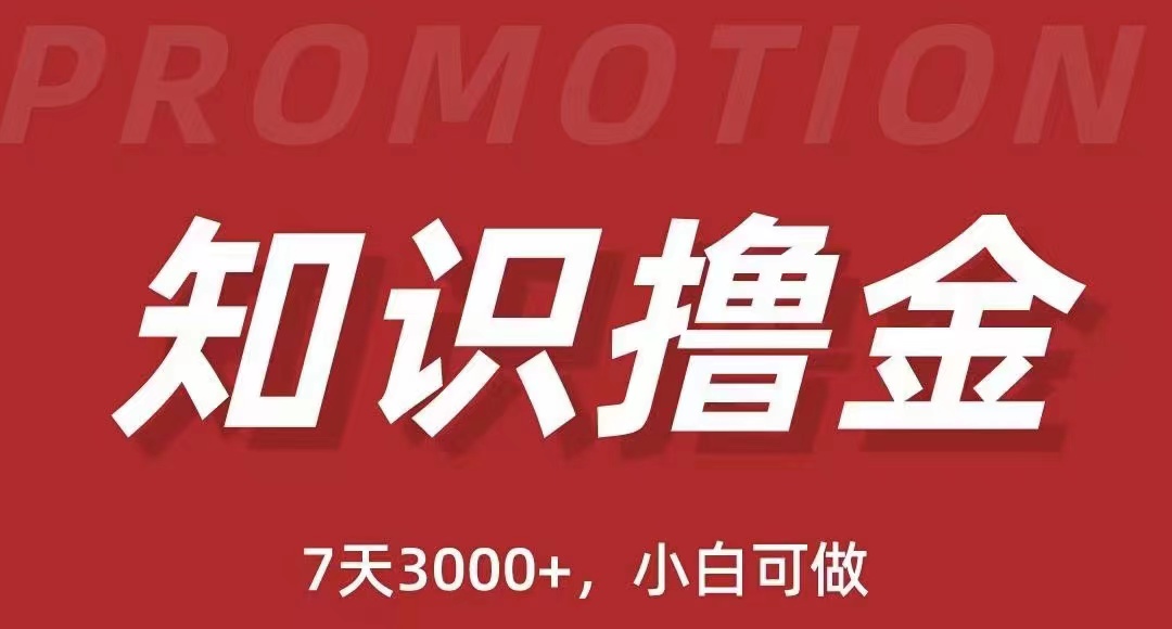 抖音知识撸金项目：简单粗暴日入1000 执行力强当天见收益(教程 资料)