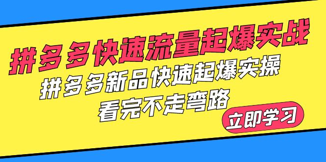 图片[1]-拼多多快速流量起爆实战，新品快速起爆实操，不走弯路！-阿灿说钱