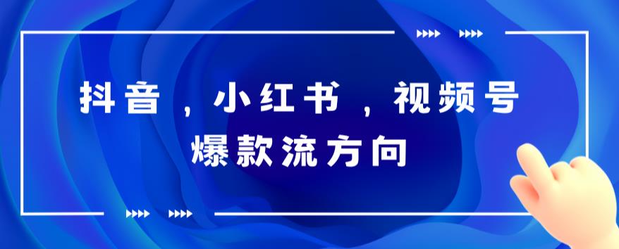 图片[1]-抖音，小红书，视频号爆款流视频制作，简单制作掌握流量密码-阿灿说钱