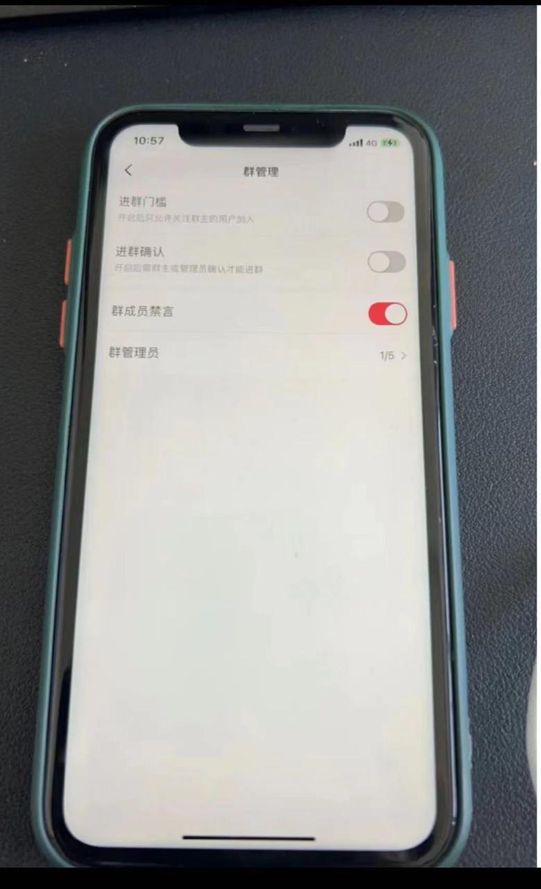 小红书风口项目日入300 ，小红书群聊禁言技术代开项目，适合新手操作