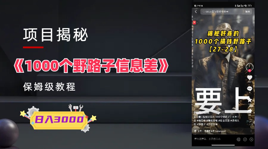 图片[1]-1000个野路子信息差保姆式教程-单日变现3000 的玩法解密-阿灿说钱