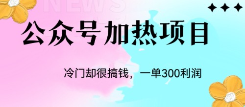 图片[1]-公众号加热项目：冷门玩法揭秘，每单可获利润300 -阿灿说钱