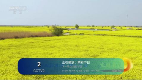 蓝雨TV安卓版