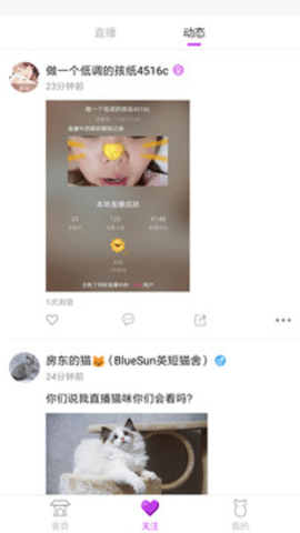 狐聊直播破解版