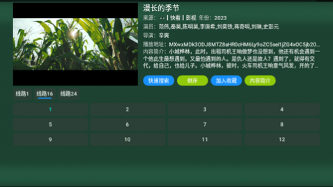 TV火炬仓