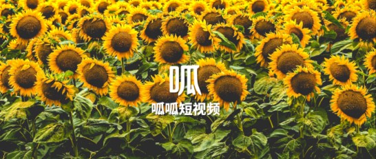 拍呱呱短视频app官网最新版