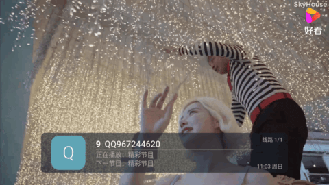 小白菜TV电视版直播App