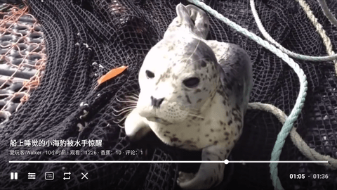 ACAC弹幕视频网电视版