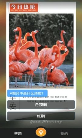 赚米短视频领现金红包版