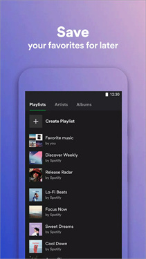 spotify lite