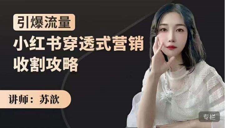 苏歆：小红书穿透式营销收割攻略，引爆流量，助你玩转小红书！生财有术-长城号
