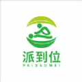 派到位app下载