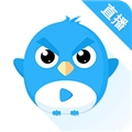 小鹰直播tv版免费