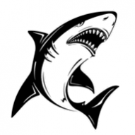 sharkTV官方最新版