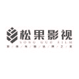 松果影视Android版